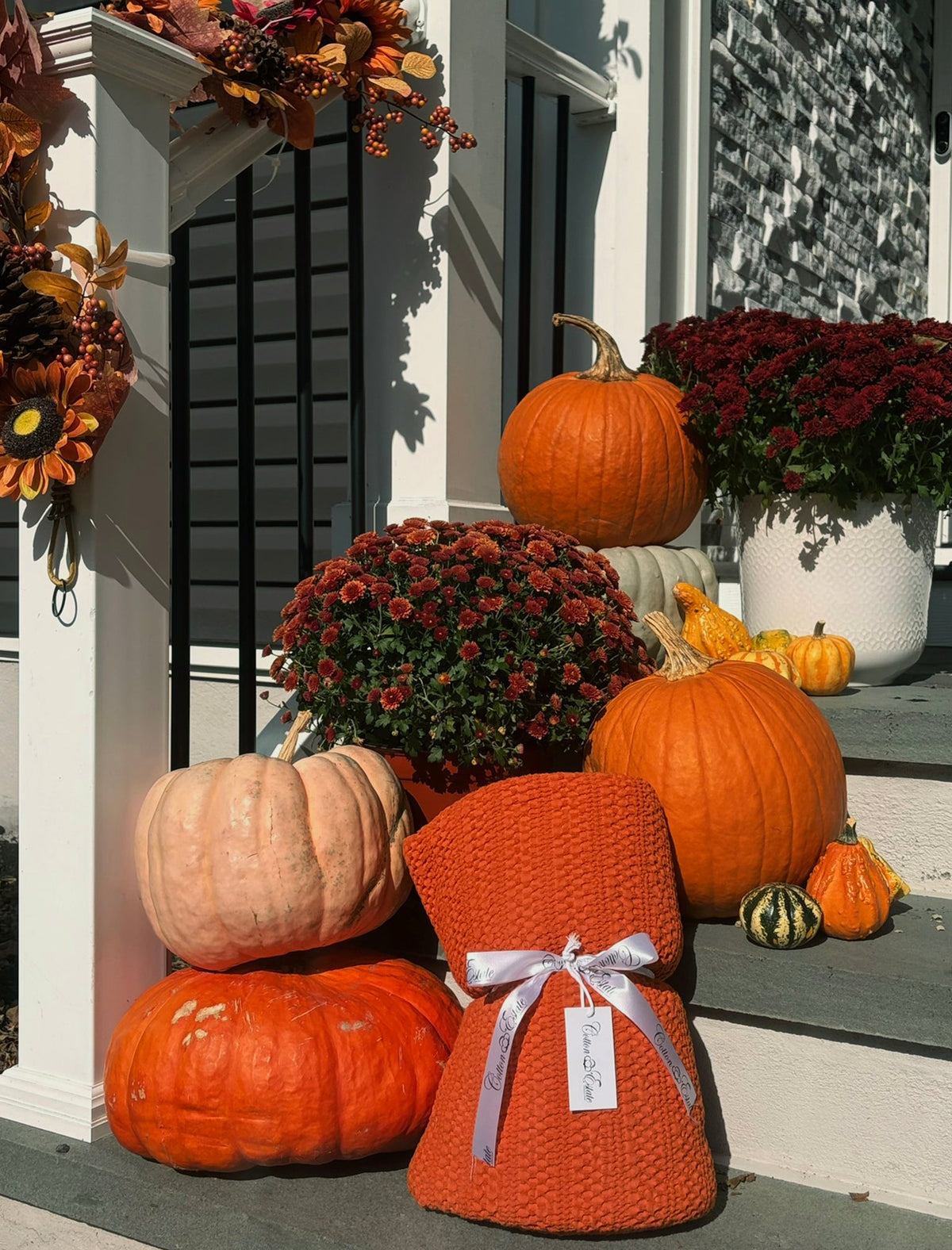 Pumpkin Patch