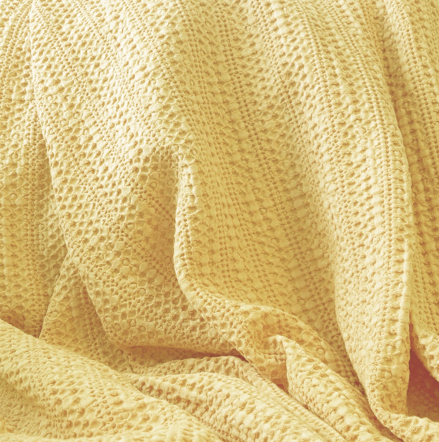 The Cotton Waffle in Pascack Sunrise